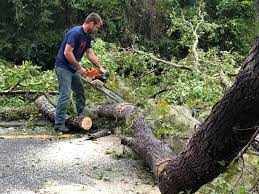 Mulching Services in Le Sueur, MN